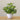 1Pc Artificial Bonsai Flower Foliage Plant Potted Home Living Room Garden Office Restaurant Desktop Bonsai Home Decoration