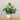 1Pc Artificial Bonsai Flower Foliage Plant Potted Home Living Room Garden Office Restaurant Desktop Bonsai Home Decoration